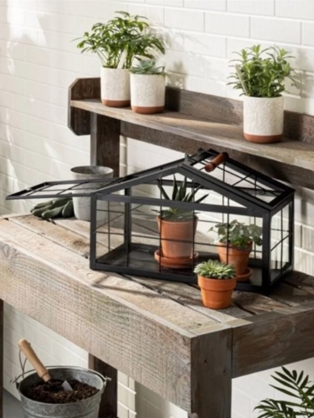 Hearth & Hand house-shaped terrarium features a black metal frame and glass